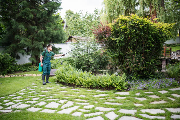 Best Insect Control  in East Oakdale, CA