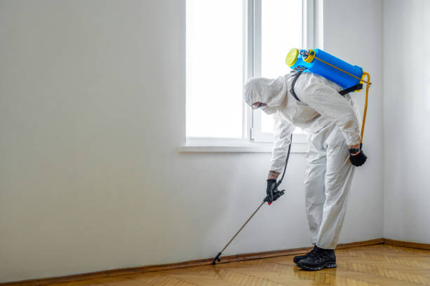 Best Pest Control Cost  in East Oakdale, CA
