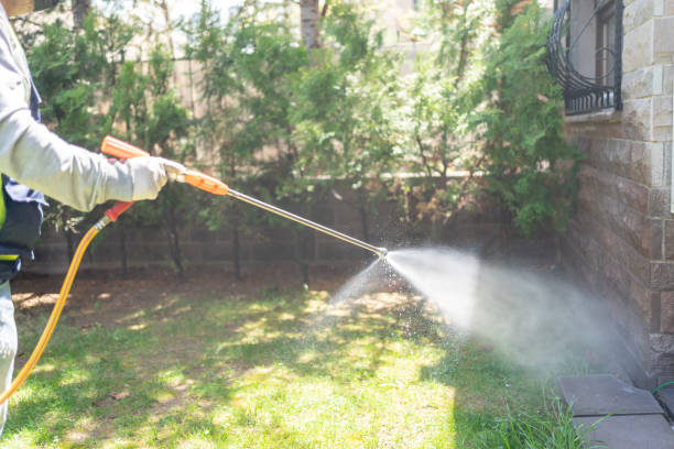 Best Flea Control Services  in East Oakdale, CA