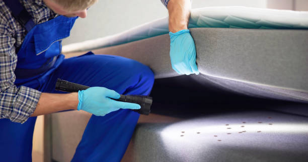 Best Pest Prevention Services  in East Oakdale, CA