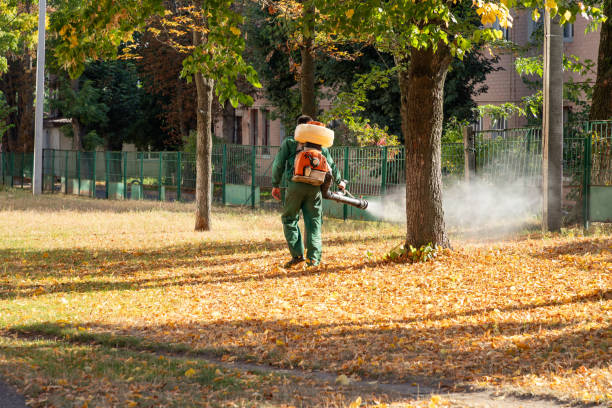 Pest Control Cost in East Oakdale, CA