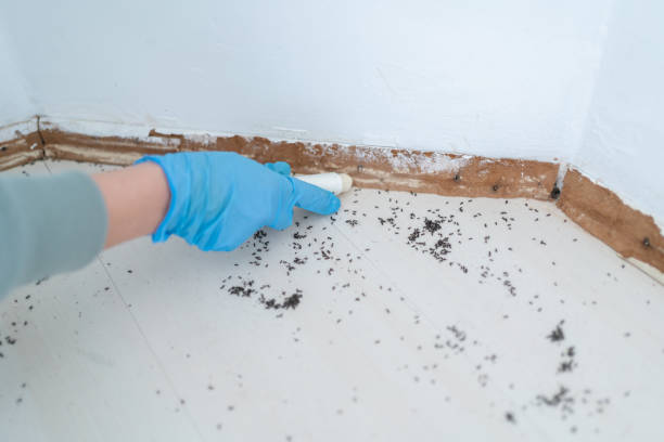  East Oakdale, CA Pest Control Pros