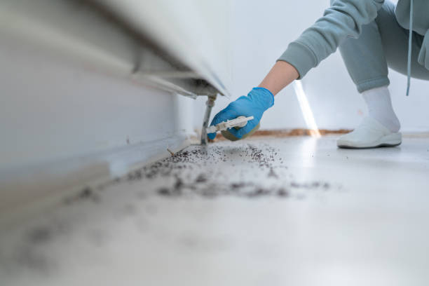 Best Pest Control Near Me  in East Oakdale, CA