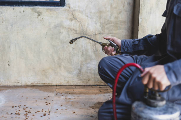 Best Termite Control Services  in East Oakdale, CA